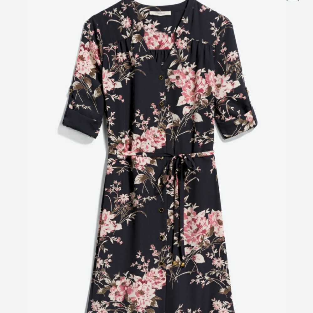 41 Hawthorn Cristen Shirt Dress